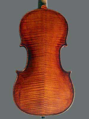 03 immagine del fondo del violino o tavola armonica inferiore